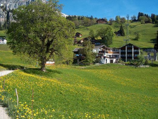 Hotel Restaurant Cristal Braunwald Exterior photo